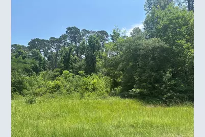 Tbd Sam Houston Loop, Point Blank, TX 77364 - Photo 5