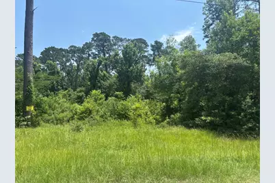 Tbd Sam Houston Loop, Point Blank, TX 77364 - Photo 3