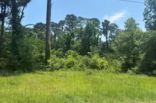 Tbd Sam Houston Loop, Point Blank, TX 77364 - Photo 1