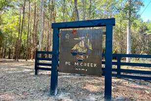 9 Fm 350, Livingston, TX 77351 - Photo 1