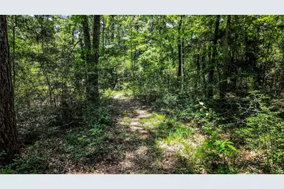 127 Buckthorn Acres Drive, Huntsville, TX 77340 - Photo 35