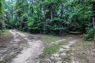 127 Buckthorn Acres Dr, Huntsville, TX 77340 - Photo 5