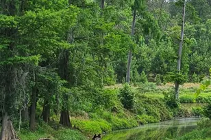 3543 Rocky Terrain Dr, Spring, TX 77373 - Photo 25