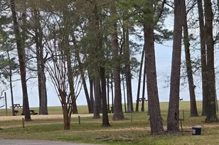 330 N Royale Greens Dr, Coldspring, TX 77331 - Photo 37