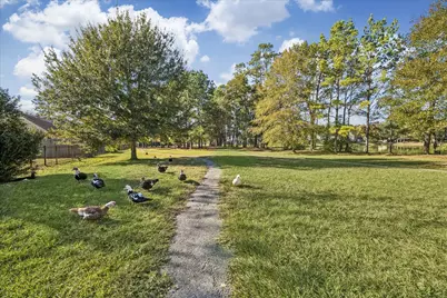 519 Trail Springs Court, Kingwood, TX 77339 - Photo 31