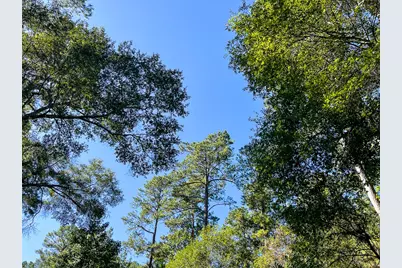 2 Fm 350, Livingston, TX 77351 - Photo 13