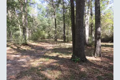 24722 Country Oaks, Montgomery, TX 77316 - Photo 39