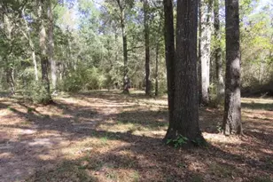 24722 Country Oaks, Montgomery, TX 77316 - Photo 39