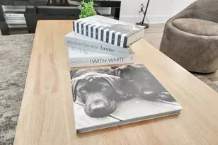 3909 Maggie St, Houston, TX 77051 - Photo 11