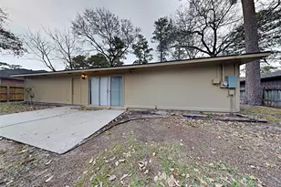 603 Blue Ridge Dr, Shenandoah, TX 77381 - Photo 19