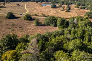 Tbd-1 Greenvine Rd, Brenham, TX 77833 - Photo 1