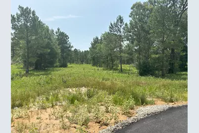 31824 Boone Road, Waller, TX 77484 - Photo 13