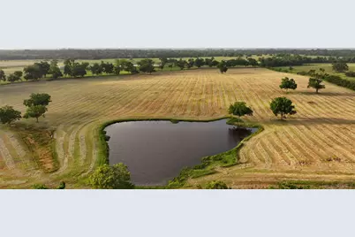 3285 Fm 2562 Road, Anderson, TX 77830 - Photo 7