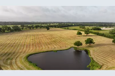 3285 Fm 2562 Road, Anderson, TX 77830 - Photo 27