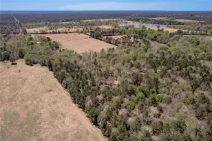 1533 Kickapoo Rd Rd, Groveton, TX 75845 - Photo 25
