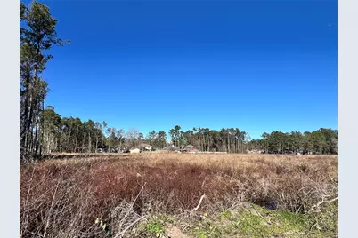 000000 Ladybug Court, Porter Heights, TX 77365 - Photo 13