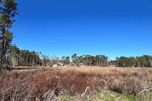 000000 Ladybug Ct, Porter Heights, TX 77365 - Photo 13