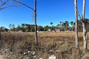 000000 Ladybug Ct, Porter Heights, TX 77365 - Photo 9