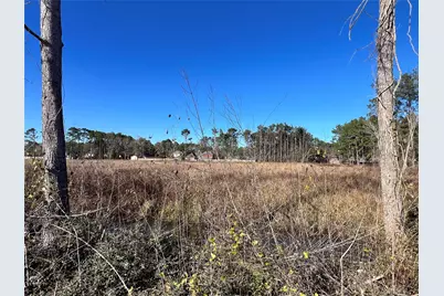 000000 Ladybug Court, Porter Heights, TX 77365 - Photo 11