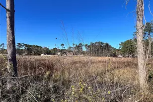 000000 Ladybug Ct, Porter Heights, TX 77365 - Photo 11