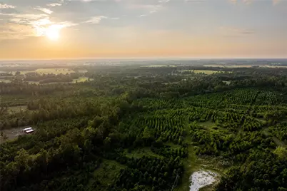 1999 Cherokee Trail, Lovelady, TX 75851 - Photo 19