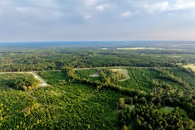 1999 Cherokee Trail, Lovelady, TX 75851 - Photo 15