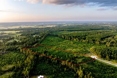 1999 Cherokee Trail, Lovelady, TX 75851 - Photo 7