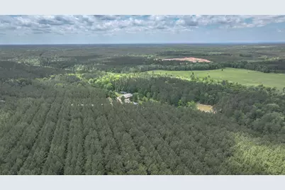 2187 Nettles Cemetery Road, Livingston, TX 77351 - Photo 13