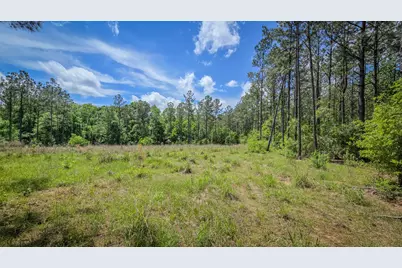 2187 Nettles Cemetery Road, Livingston, TX 77351 - Photo 21