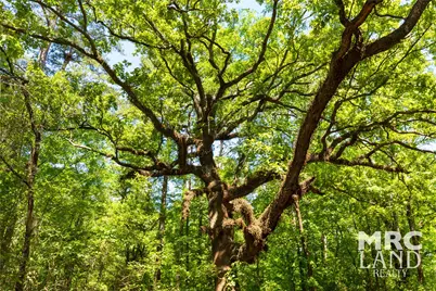 00 Linn Flat Road, Garrison, TX 75946 - Photo 27