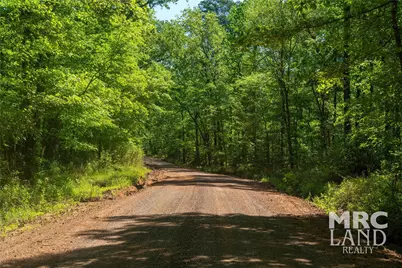 00 Linn Flat Road, Garrison, TX 75946 - Photo 3
