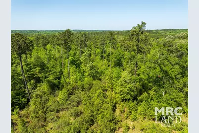 00 Linn Flat Road, Garrison, TX 75946 - Photo 23