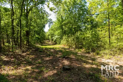 00 Linn Flat Road, Garrison, TX 75946 - Photo 11