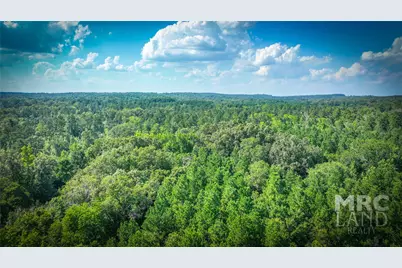 00 Linn Flat Road, Garrison, TX 75946 - Photo 1