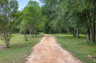 767 N Fm 2429 Rd, Bellville, TX 77418 - Photo 3
