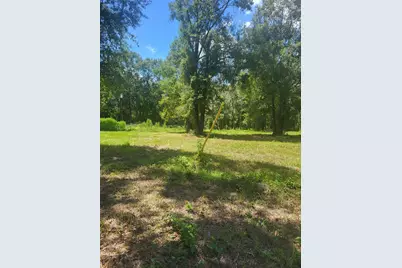 Tba Elmore Lp, Shepherd, TX 77371 - Photo 3