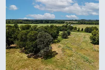 Tbd Tract 5 Fm-2819, Anderson, TX 77830 - Photo 11