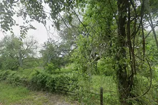 2941 - 19 County Raod 352 Rd, Brazoria, TX 77422 - Photo 1