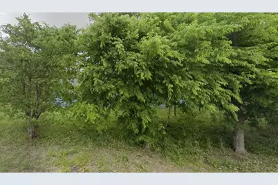 2941 - 19 County Raod 352 Road, Brazoria, TX 77422 - Photo 5