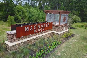 430 Southern Magnolia Wy, Magnolia, TX 77354 - Photo 23