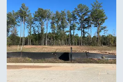 22017 Gateway Arch Drive, Porter, TX 77365 - Photo 5