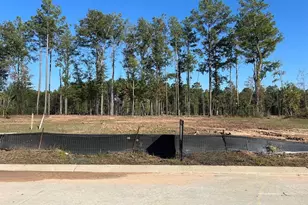 22017 Gateway Arch Dr, Porter, TX 77365 - Photo 5