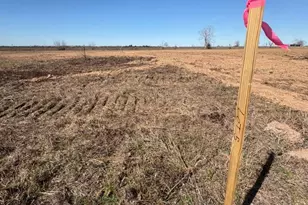 Lot 5 Wolchik Rd, Sealy, TX 77474 - Photo 1