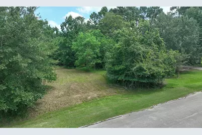 18718 Connie Avenue, Magnolia, TX 77355 - Photo 3