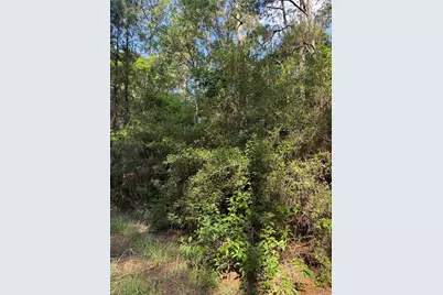 Tbd Timberwood Lane, Navasota, TX 77868 - Photo 1