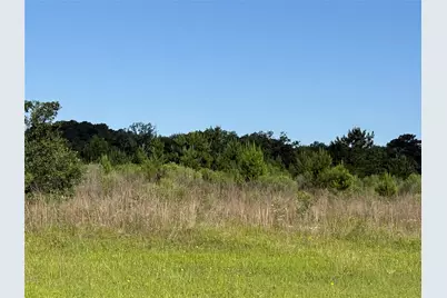 Tbd Timberwood Lane, Navasota, TX 77868 - Photo 9