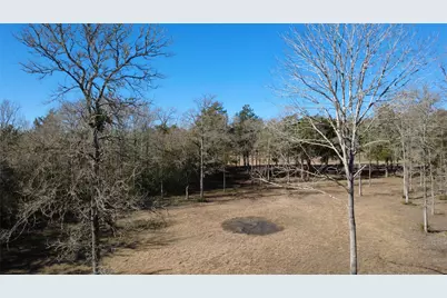 8272 Timber Bridge Lane, Chappell Hill, TX 77426 - Photo 15