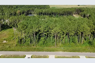 3167 Road 66125, Dayton, TX 77535 - Photo 7