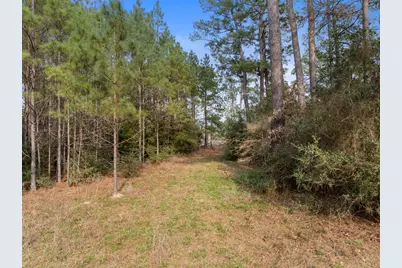 17540 Brittany Lane, Plantersville, TX 77363 - Photo 19