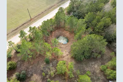 17540 Brittany Lane, Plantersville, TX 77363 - Photo 21